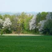 25.4.2009 Prašivá