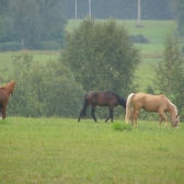 Tábor Blatiny 2006