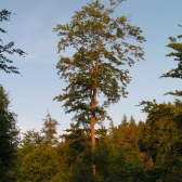 Tatranka 3.-5. června 2005