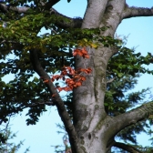 Lysá 25. září 2004