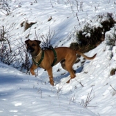 Tatranka 3. - 5. dubna 2010