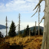 17. 11. 2010 Tradiční výšlap na Kněhyni