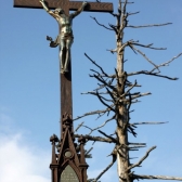 17. 11. 2010 Tradiční výšlap na Kněhyni